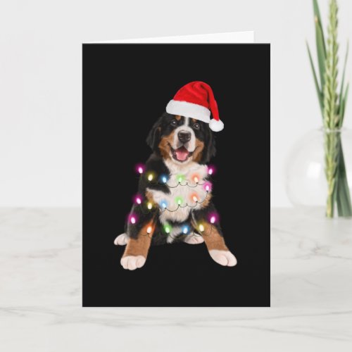 bernese mountain puppy christmas gift card