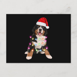 bernese mountain puppy christmas gift postcard