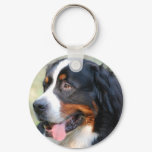 Bernese Mountain Puppy Keychain