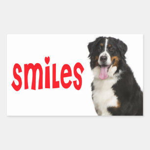 Bernese Mountain Puppy Mom Dog Rescue Dad Hello Rectangular Sticker