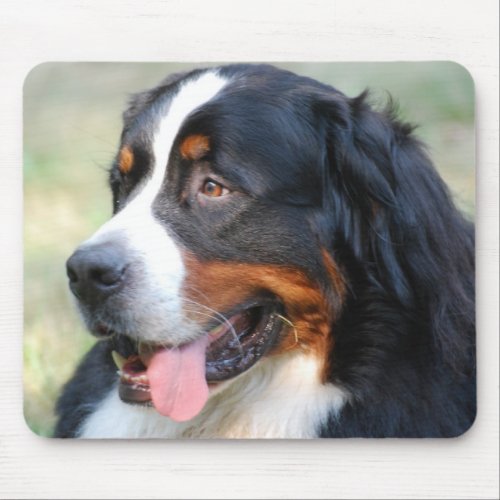 Bernese Mountain Puppy Mouse Pad