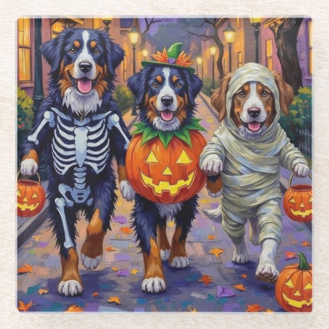 Bernese Mountain Trick-or-Treating In Halloween  Glass Coaster (Front)