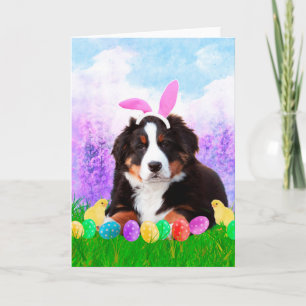 Bernese Mountain with Easter Eggs Bunny Chicks Holiday Card