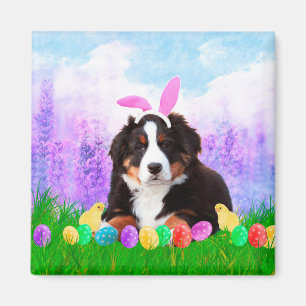 Bernese Mountain with Easter Eggs Bunny Chicks Magnet