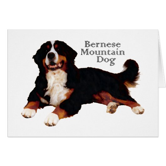BERNESE Mt. Dog (Front Horizontal)