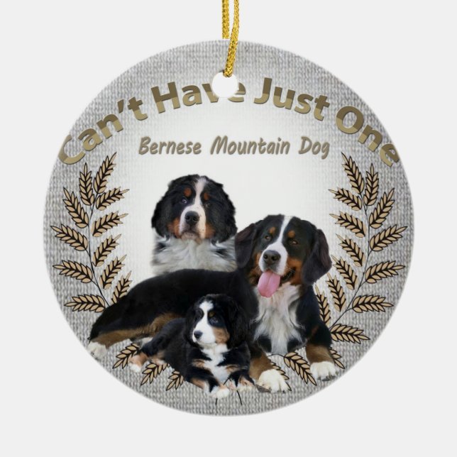 Bernese Mt. Dog Can't Have Just One Ornament (Front)