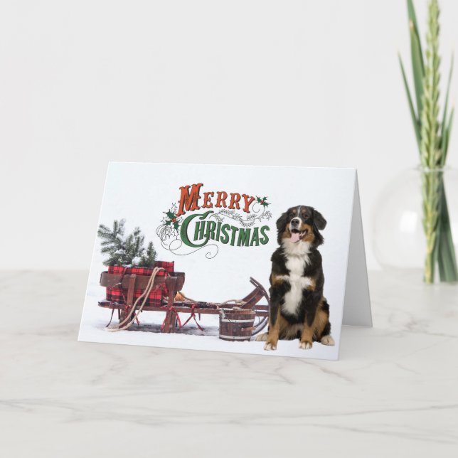 Bernese Mt. Dog Christmas Card (Front)