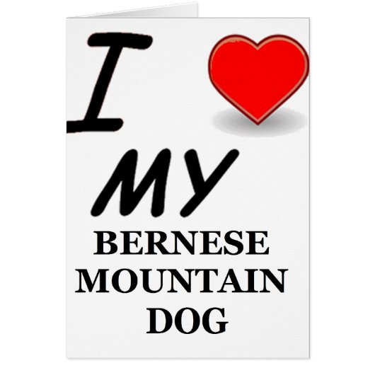 bernese mt dog love cards (Front)