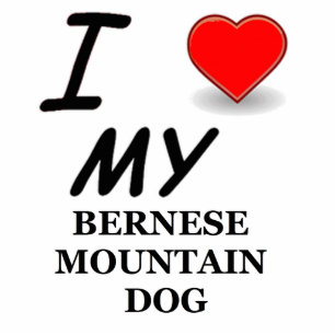 bernese mt dog love statuette