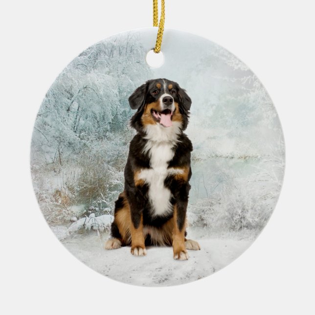 Bernese Mt. Dog Ornament (Front)