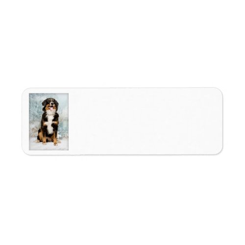 Bernese Mt Dog Return Address Labels