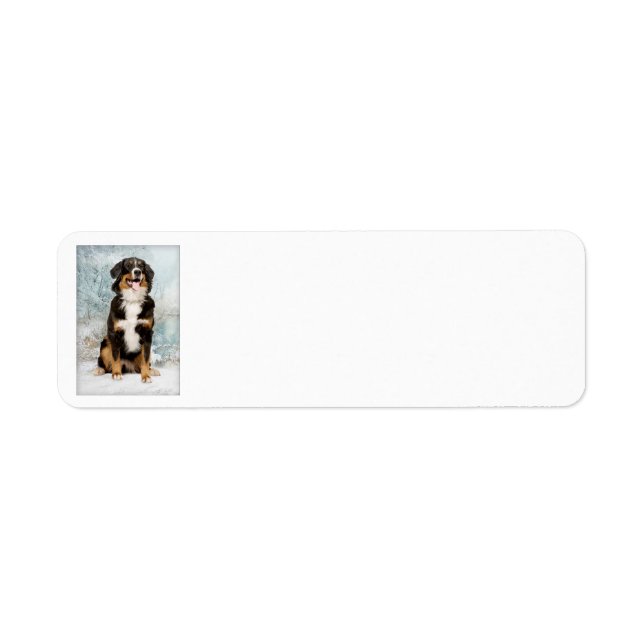 Bernese Mt. Dog Return Address Labels (Front)