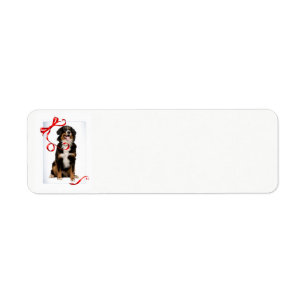 Bernese Mt. Dog Return Address Labels