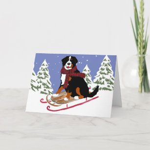 Adorable Assorted Pets Invitation Cards with Envelopes 10 Handmade Artwork Christmas Greeting Cards GCD685 Let It Snow Christmas Happy Holidays Bernese Mountain Dog Greeting Cards 