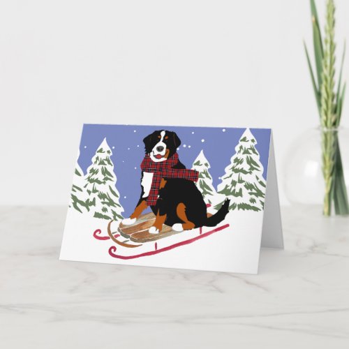 Bernese Mt Dog Sled Holiday Card