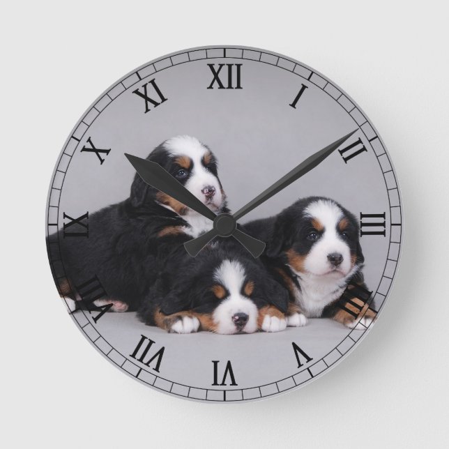 Bernese puppies round clock (Front)