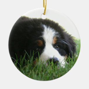 Bernese Puppy Ceramic Ornament