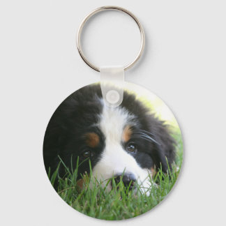 Bernese Puppy Keychain