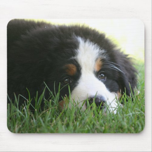 Bernese Puppy Mousepad