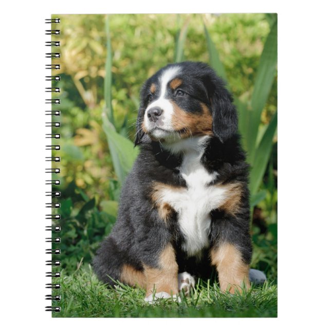 Bernese puppy notebook (Front)
