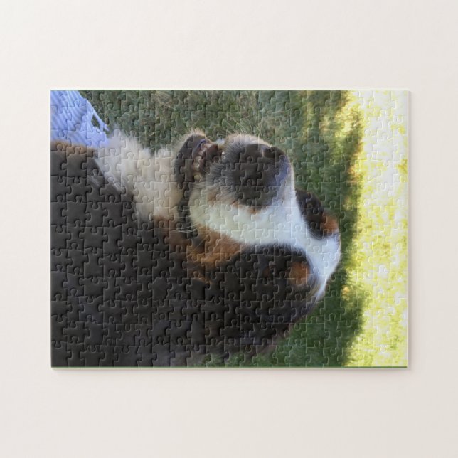 Bernese Puzzle (Horizontal)