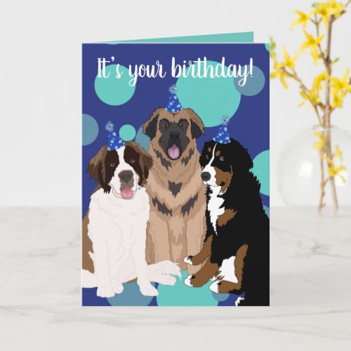 Bernese Saint Bernard Leonberger Birthday  Card