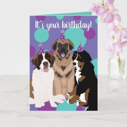 Bernese Saint Bernard Leonberger Birthday  Card