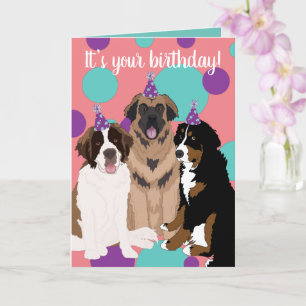 Bernese, Saint Bernard, Leonberger Birthday Card