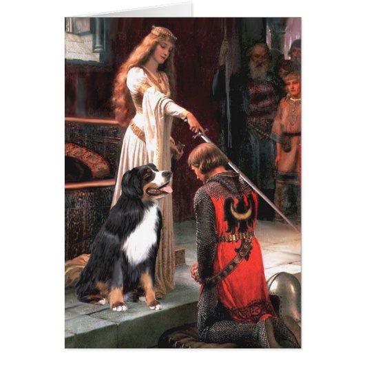 Bernese - The Accolade Cards (Front)