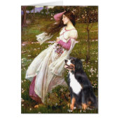 Bernese - WIndflowers (Front)