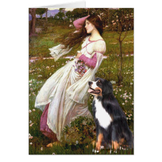 Bernese - WIndflowers Cards