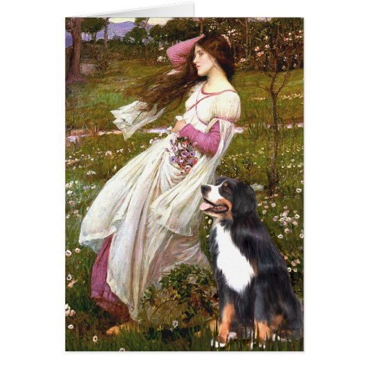 Bernese - WIndflowers Cards (Front)