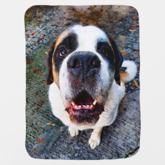 Bernhadn Baby Blanket