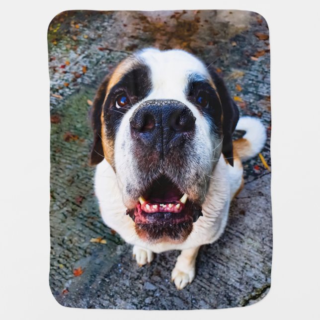 Bernhadn Baby Blanket (Front)