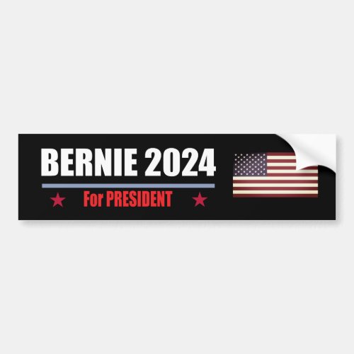  Bernie 2024  Bumper Sticker