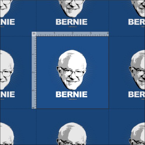 BERNIE FABRIC