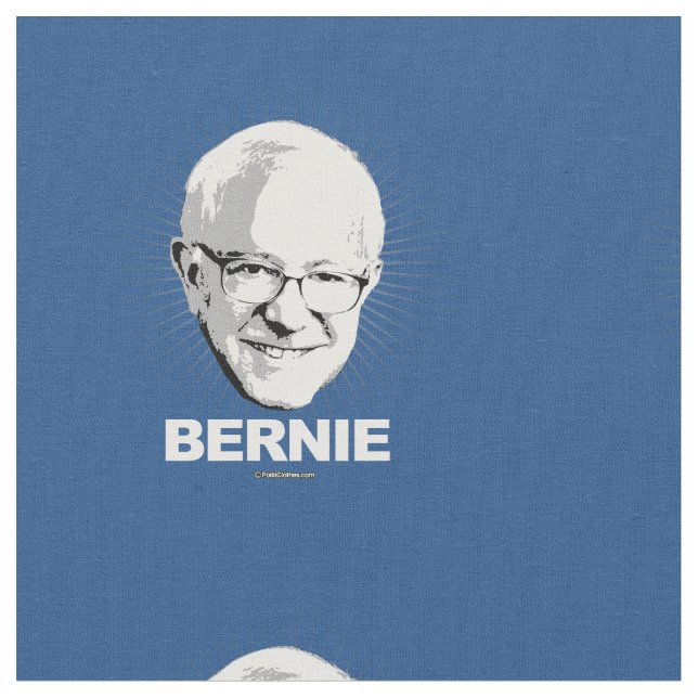 BERNIE FABRIC (Close Up)