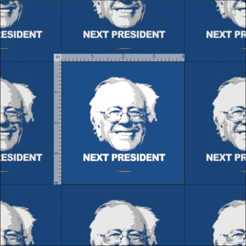 Bernie Sanders is The Next President Fabric