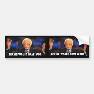 BERNIE WOULD HAVE WON! - sticker for any surface