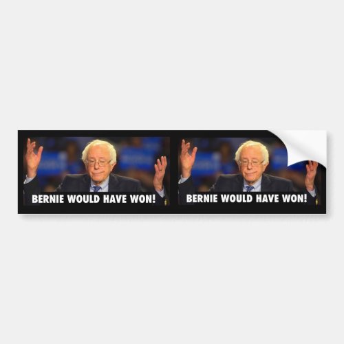 BERNIE WOULD HAVE WON _  sticker for any surface