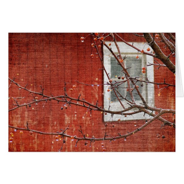 Berries and Red Barn Cards (Front Horizontal)