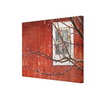 Berries and the Red Barn Canvas Print