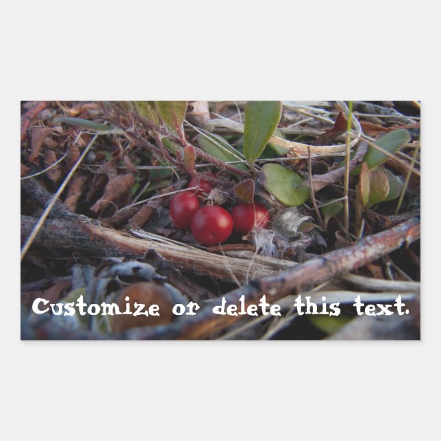 Berries and Twigs; Customizable Rectangular Sticker (Front)