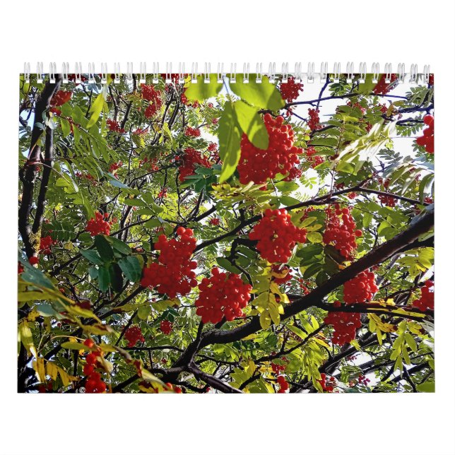 Berries Calendar (Cover)