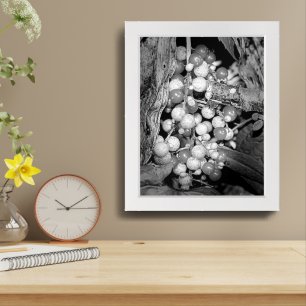 Berries In Black And White Nature Framed Art