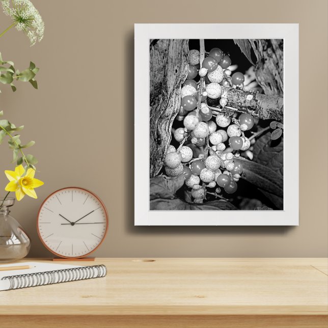 Berries In Black And White Nature Framed Framed Art (Table Top)