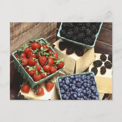 Berries Postcard