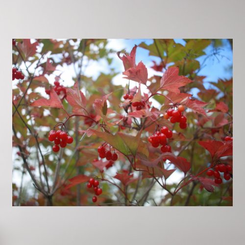 Berries Red Fall Leaf Autumn Garden Colorful 2020 Poster