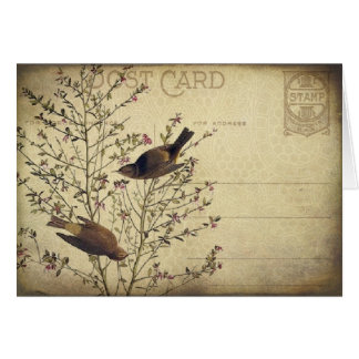 Berry Birds Cards
