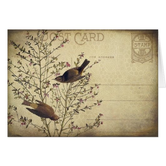 Berry Birds Cards (Front Horizontal)